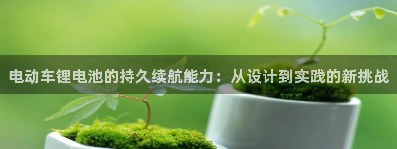 尊龙官网手