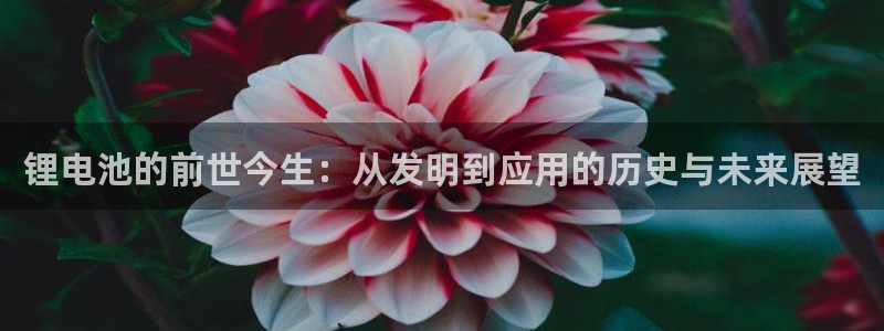 尊龙人生就是博登陆