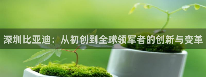 尊龙凯时俱乐部