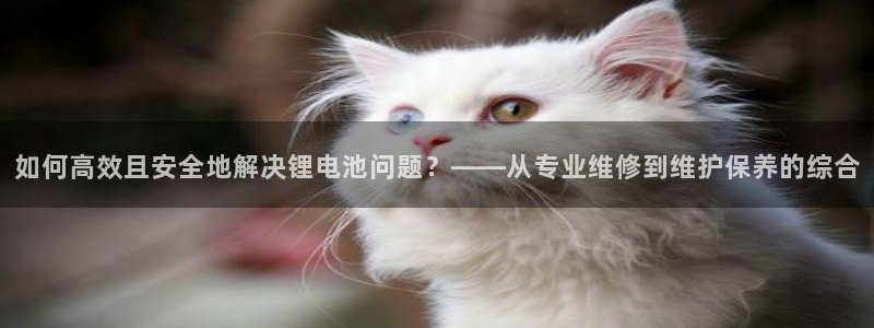 尊龙人品怎么样