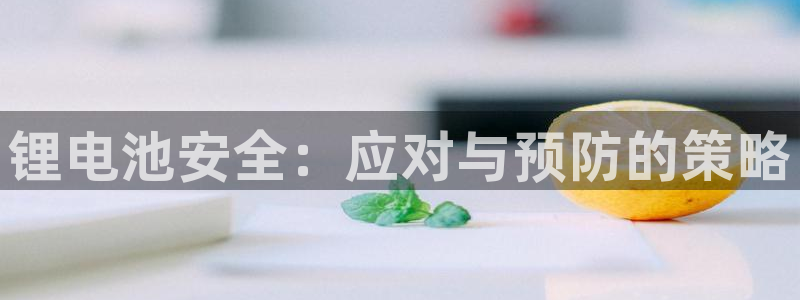 尊龙服饰品牌介绍