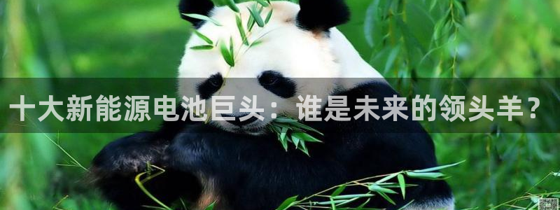 尊龙凯时的生产设备