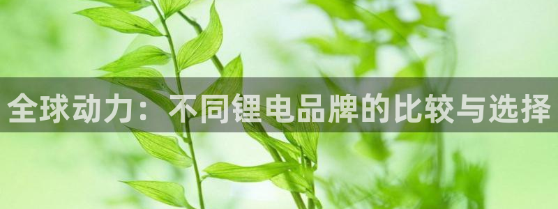 尊龙集团有限公司地址