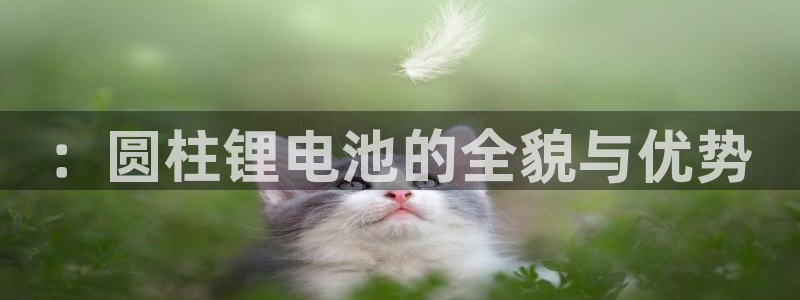 尊龙凯时不给提款