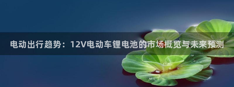 尊龙凯时网