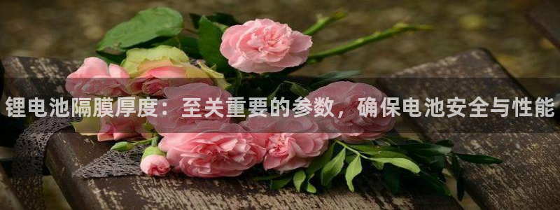 尊龙用现金娱乐一下下载旧：锂电池隔膜厚度：至关重要的参数，确保电池安全与性能