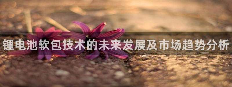 尊龙现金一下S选来就送38