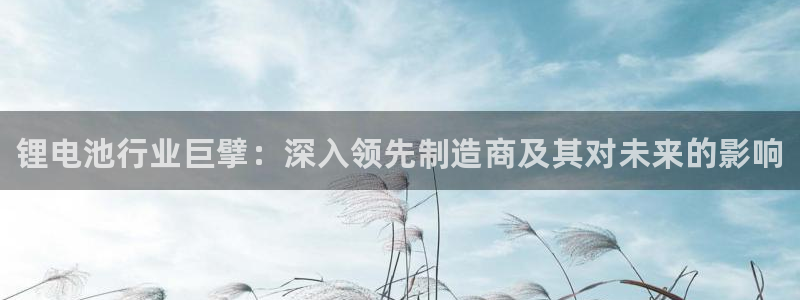 尊龙凯时是赌博嘛：锂电池行业巨擘：深入领