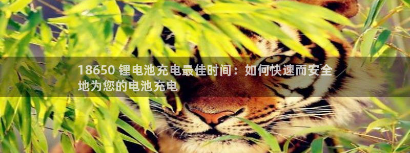 kb88凯时会员登录：18650 锂电池充电最佳时间：如何快速而安全
地为您的电池充电
