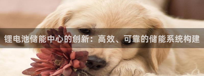 尊龙人生就是博登陆