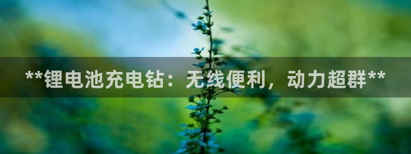 尊龙体育电竞官网：**锂电池充电钻：无线便利，动力超群**