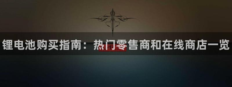 尊龙凯时登入首页：锂电池购买指南：热门零售商和在线商店一览